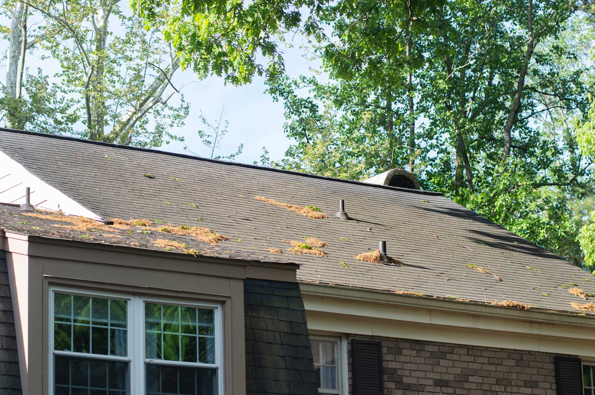 Gutter Cleaning Services in Lago Vista TX